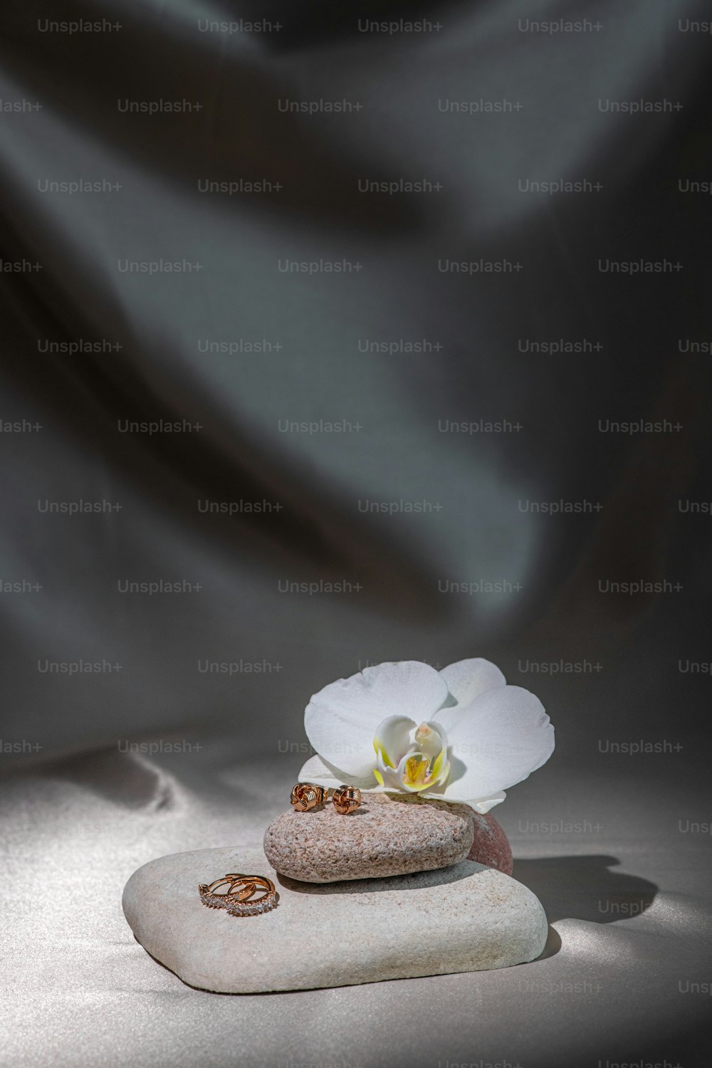 a white flower sitting on top of a rock