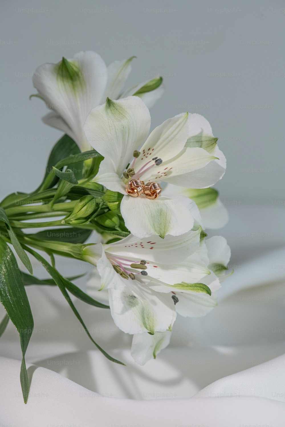 a bouquet of white flowers with green leaves