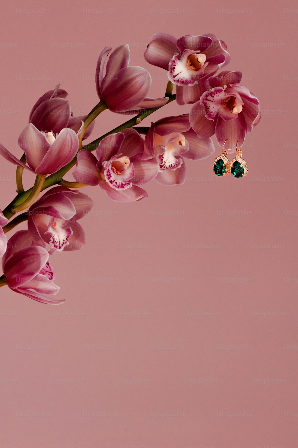 Ein Strauß rosa Blumen auf rosa Hintergrund