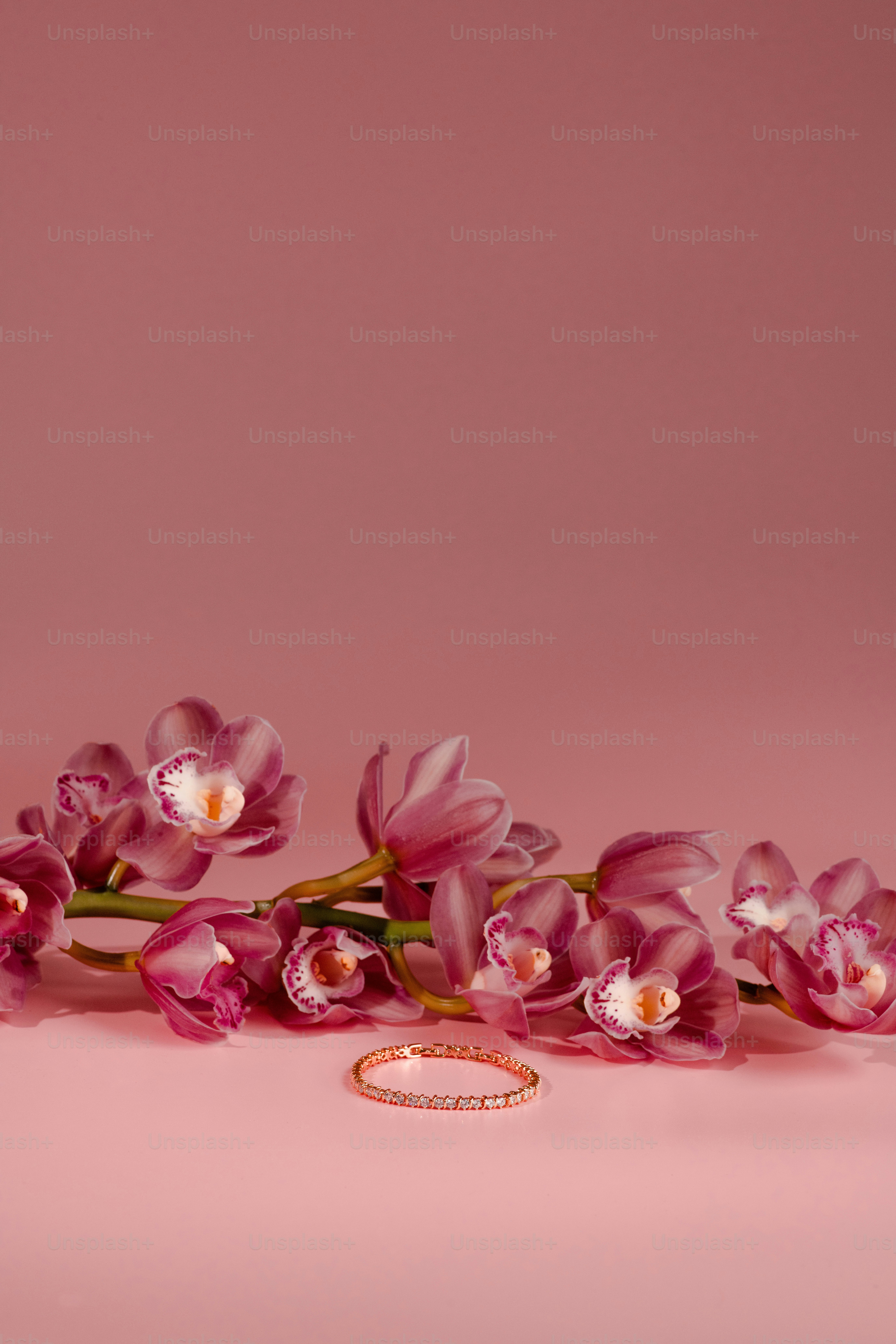 a bunch of pink flowers on a pink background