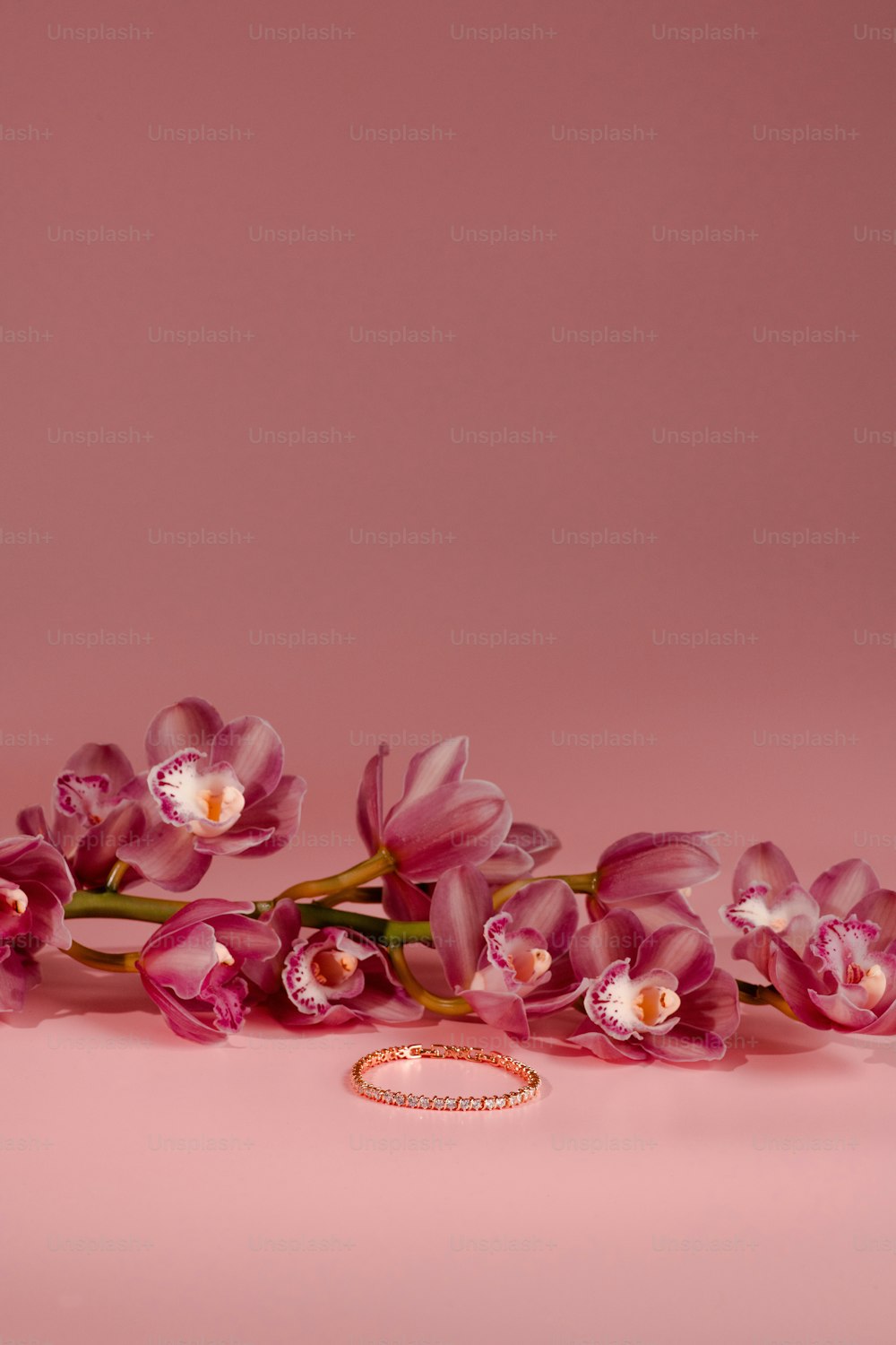 a bunch of pink flowers on a pink background