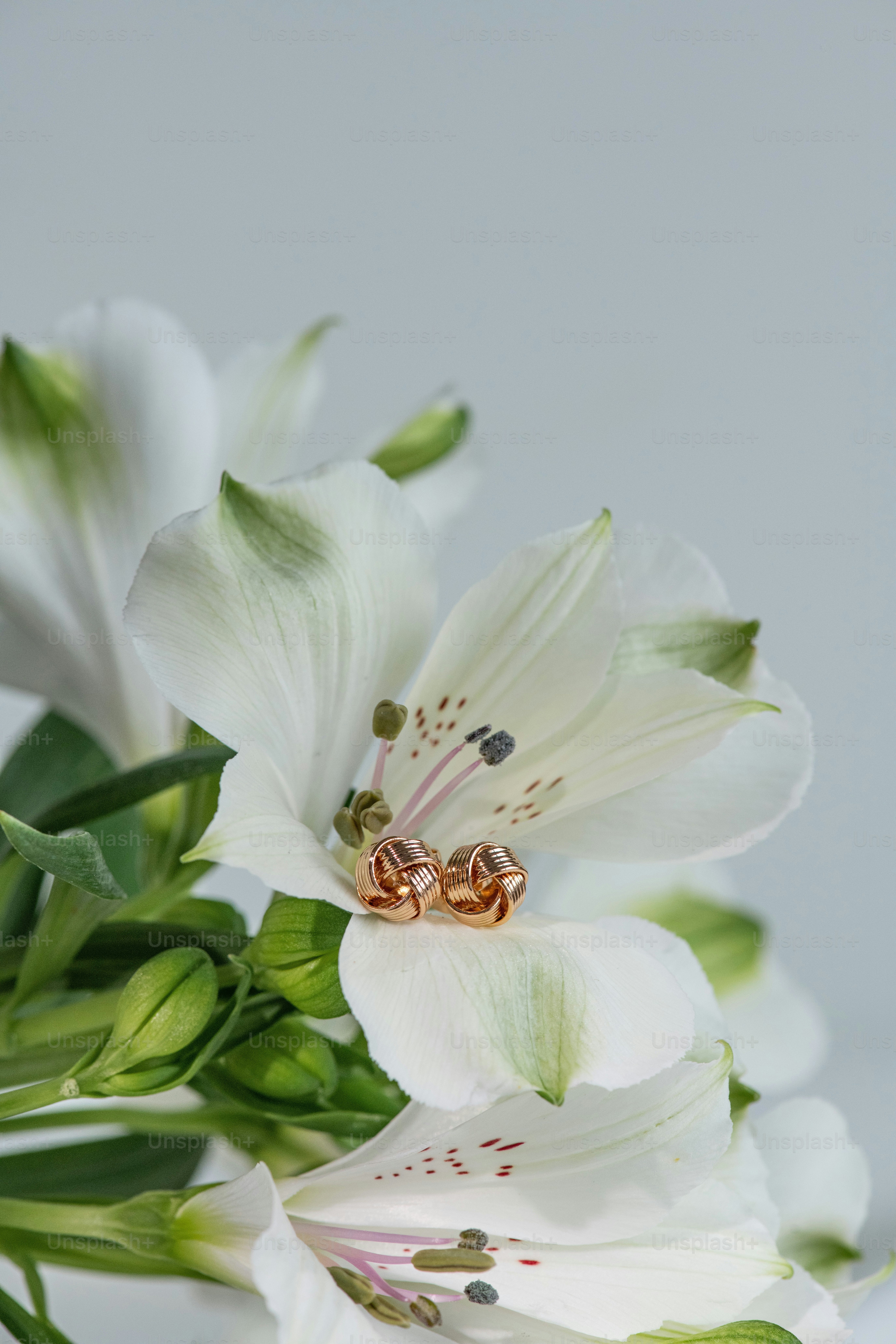 un bouquet di fiori bianchi con foglie verdi