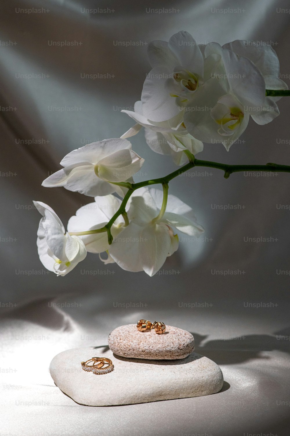 a white flower and two wedding rings on a rock