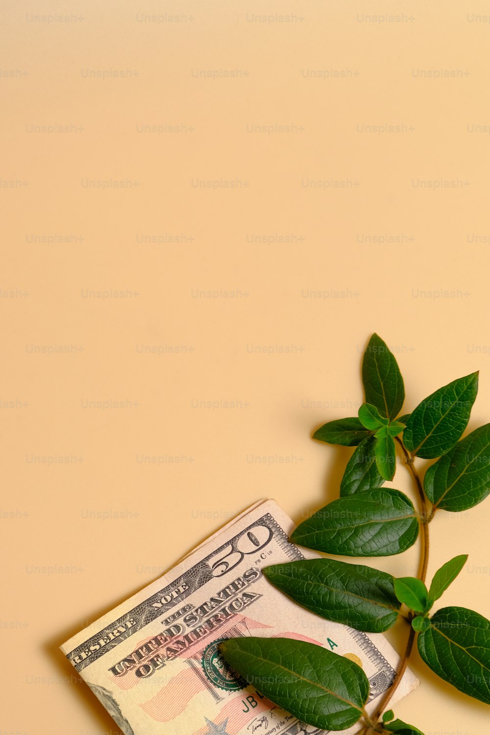 a green plant sprouting out of a pile of money