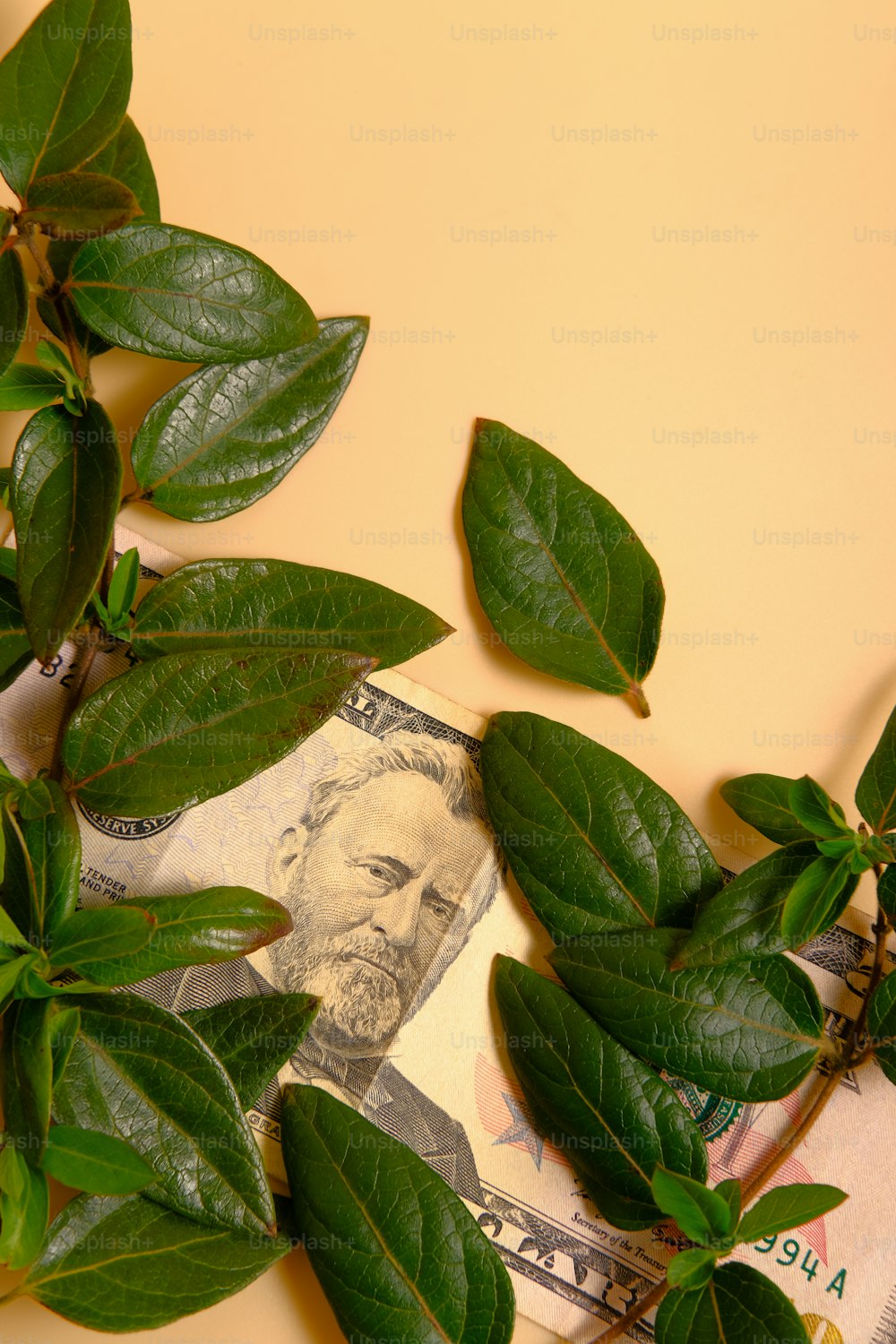 a bunch of green leaves sitting on top of a pile of money