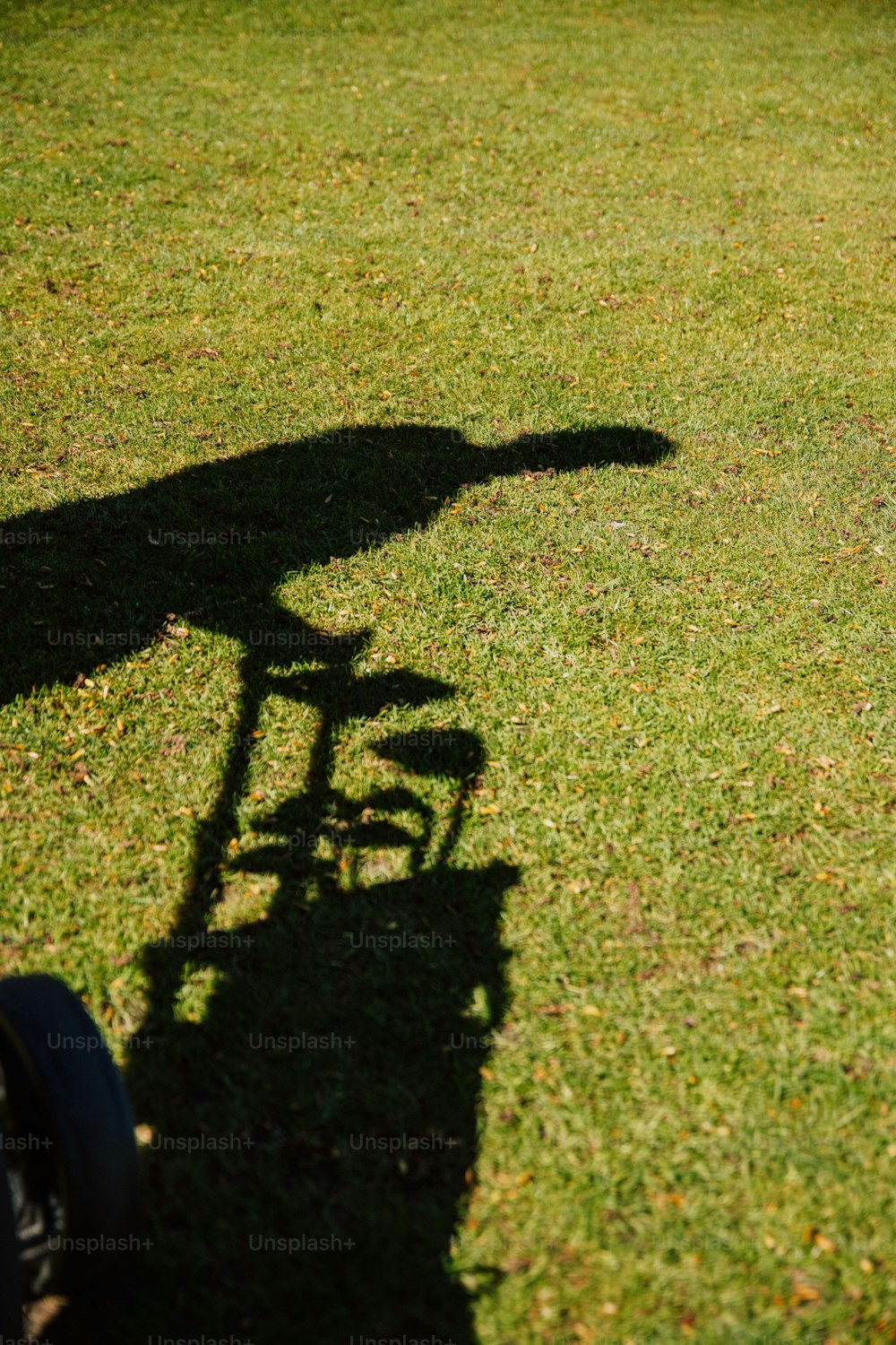 a shadow of a person riding a bike in the grass