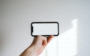 a hand holding a small black object with a white background