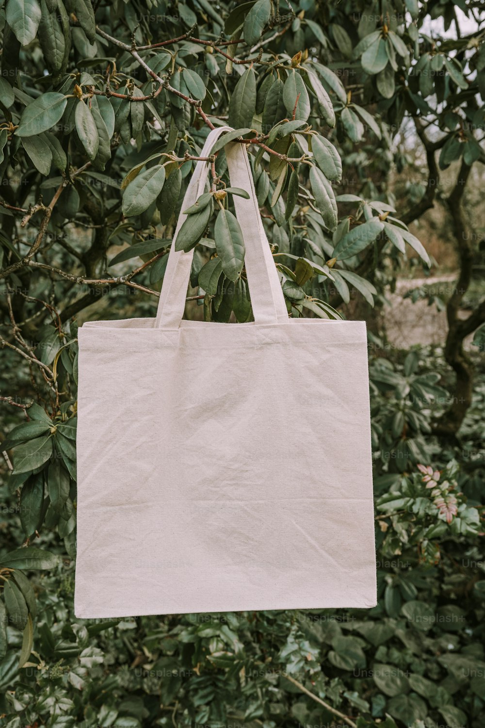 a white bag hanging from a tree branch