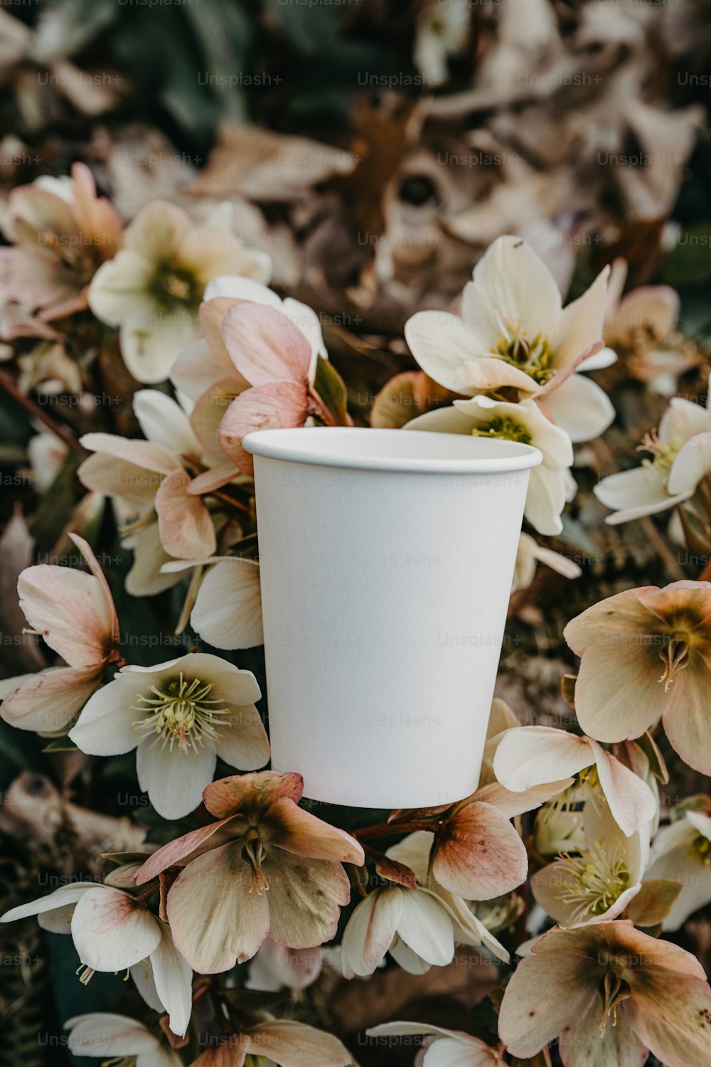 a white cup sitting on top of a pile of flowers