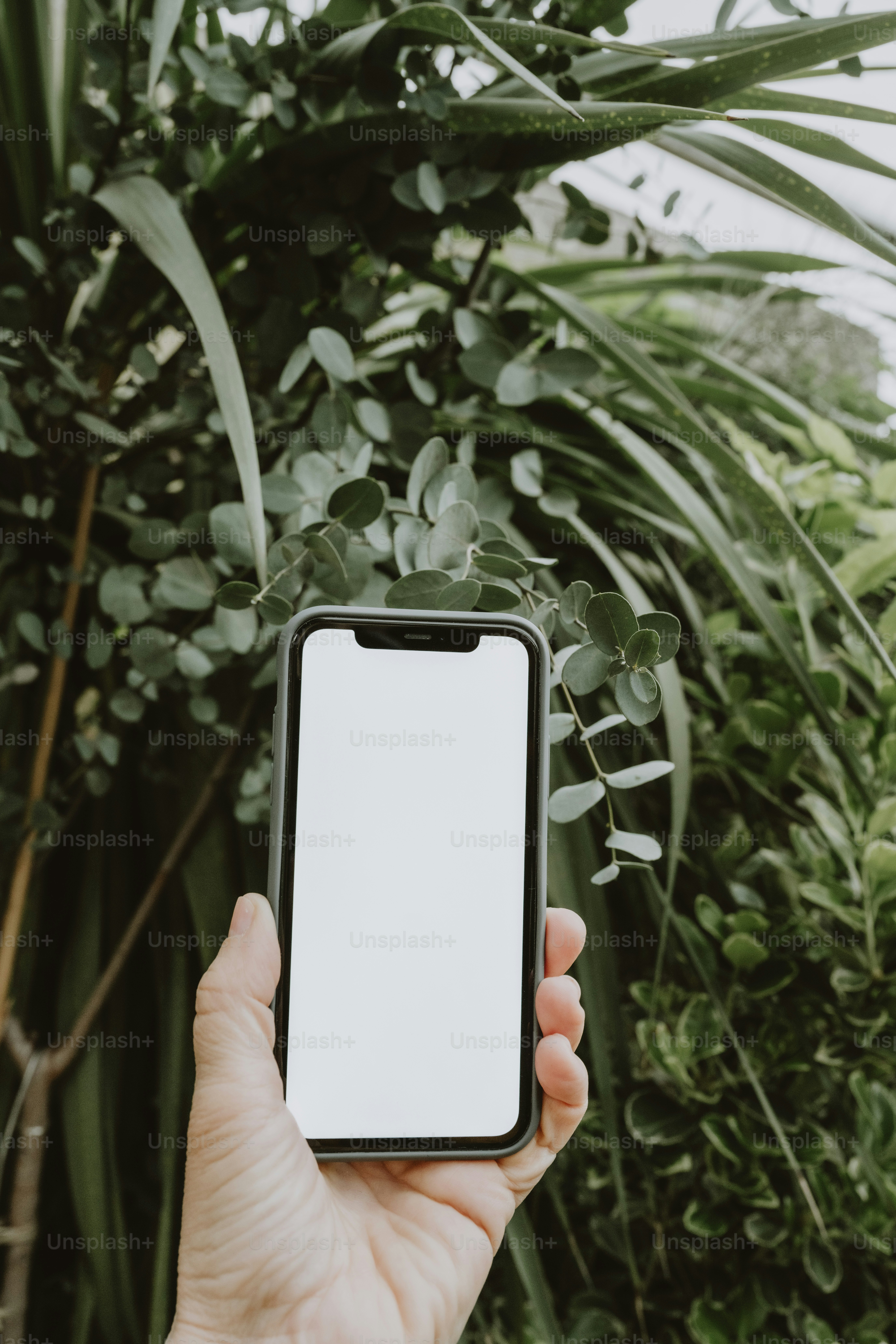 a person holding a cell phone in their hand