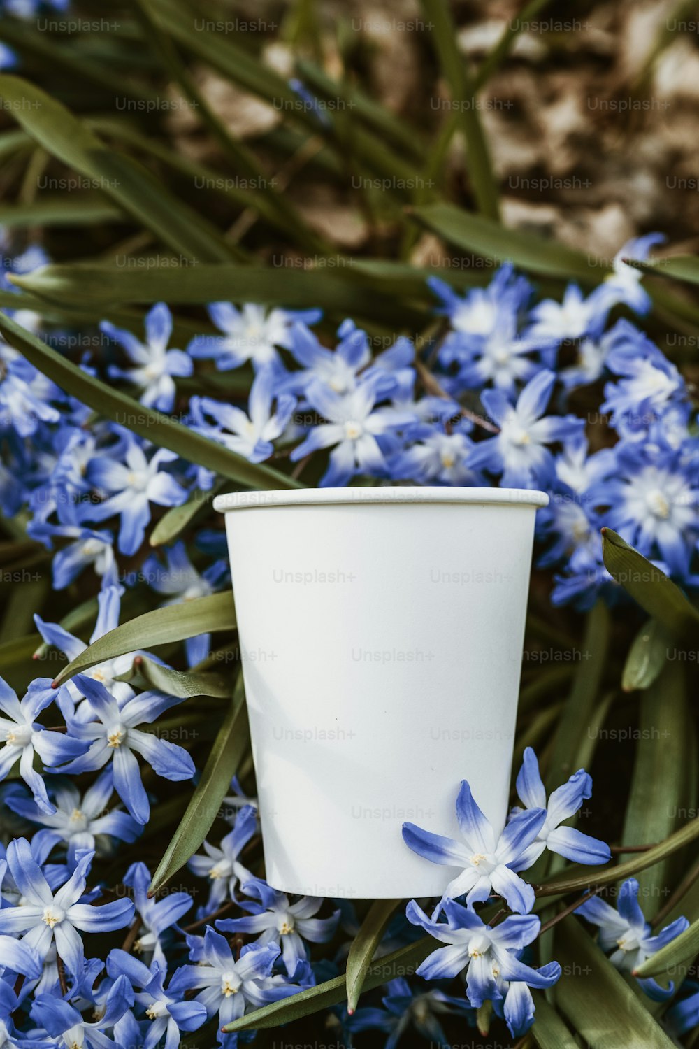 una tazza bianca seduta sopra i fiori blu