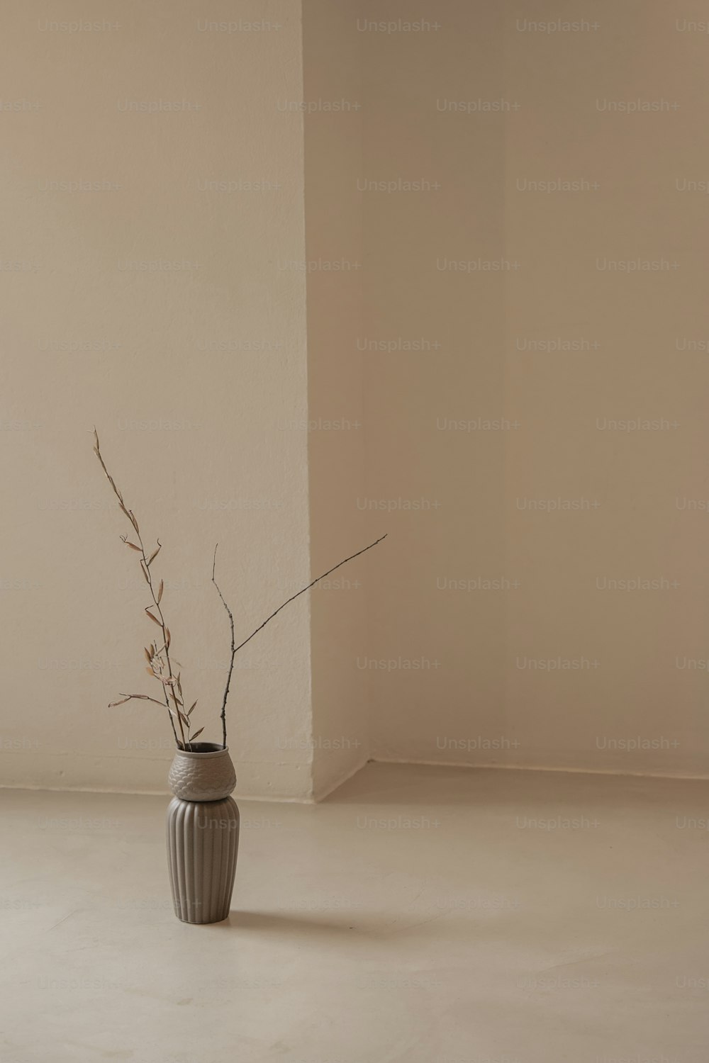 eine Vase mit einer Pflanze darin, die auf dem Boden sitzt