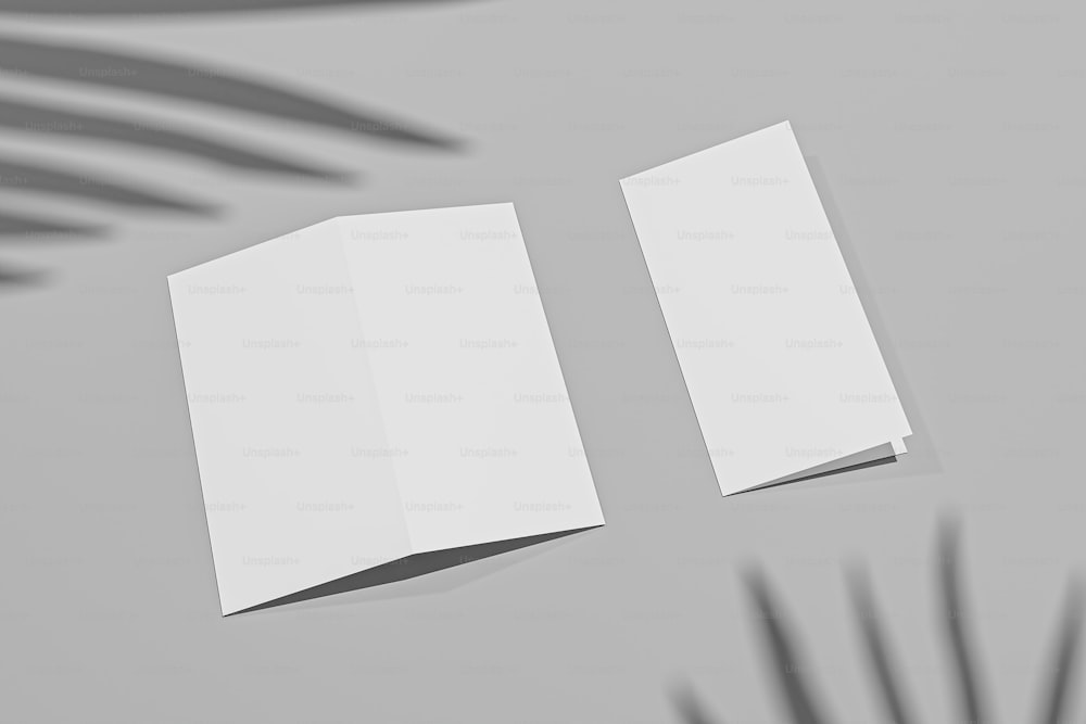 two blank paper sheets on a table with a shadow of a palm tree