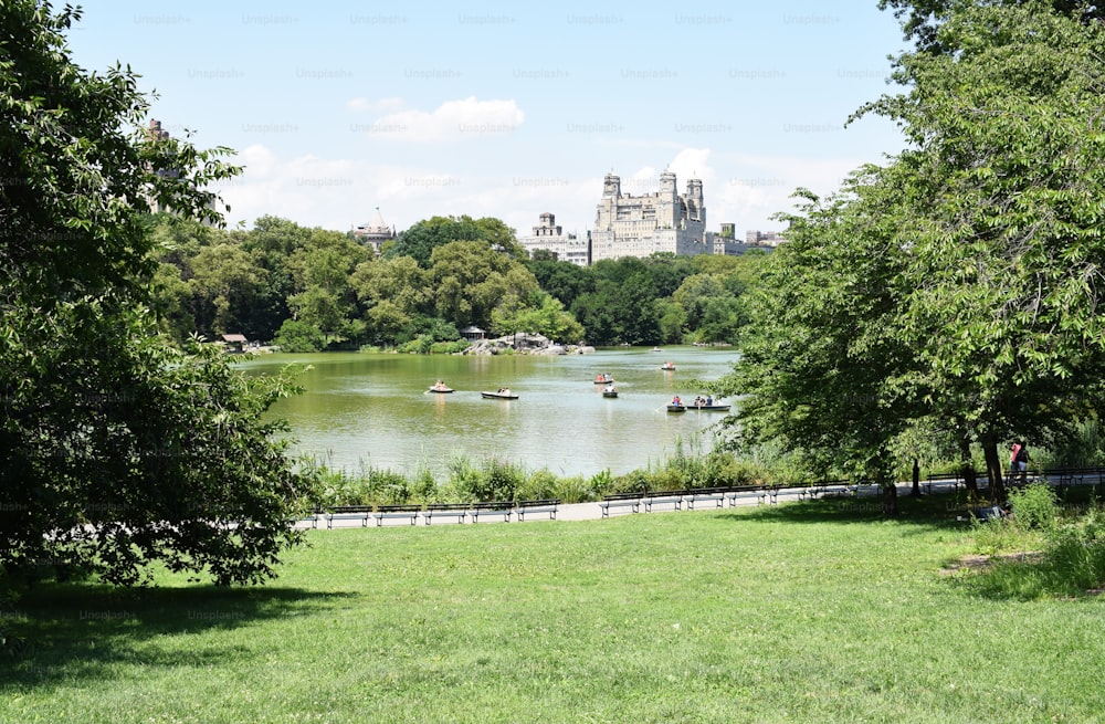 a lake surrounded by trees and a castle in the background