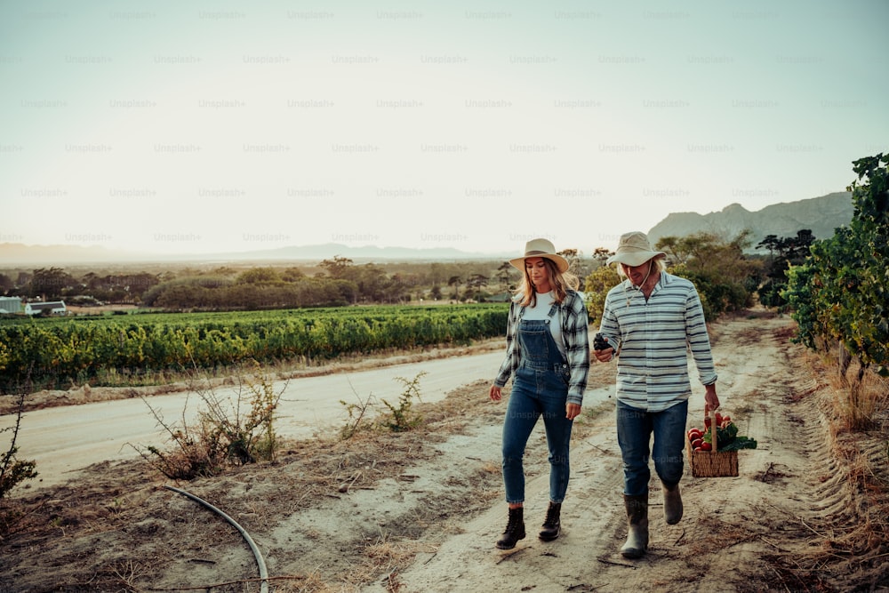 Caucasian romantic couple walking at sunrise through farmlands and vineyards holding basket of fresh vegetables . High quality photo