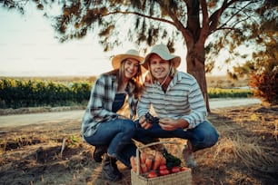 Caucasian couple crouching down smiling bonding while picking fresh vegetables on farmlands at sunrise. High quality photo