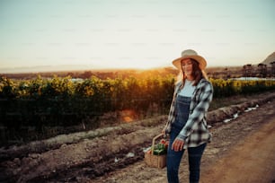 Caucasian female farmer walking through vineyards with freshly picked vegetables in basket. High quality photo