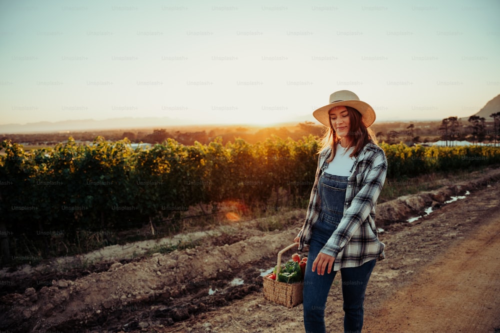 Agricultora caucásica caminando por viñedos con verduras recién recogidas en la canasta. Foto de alta calidad