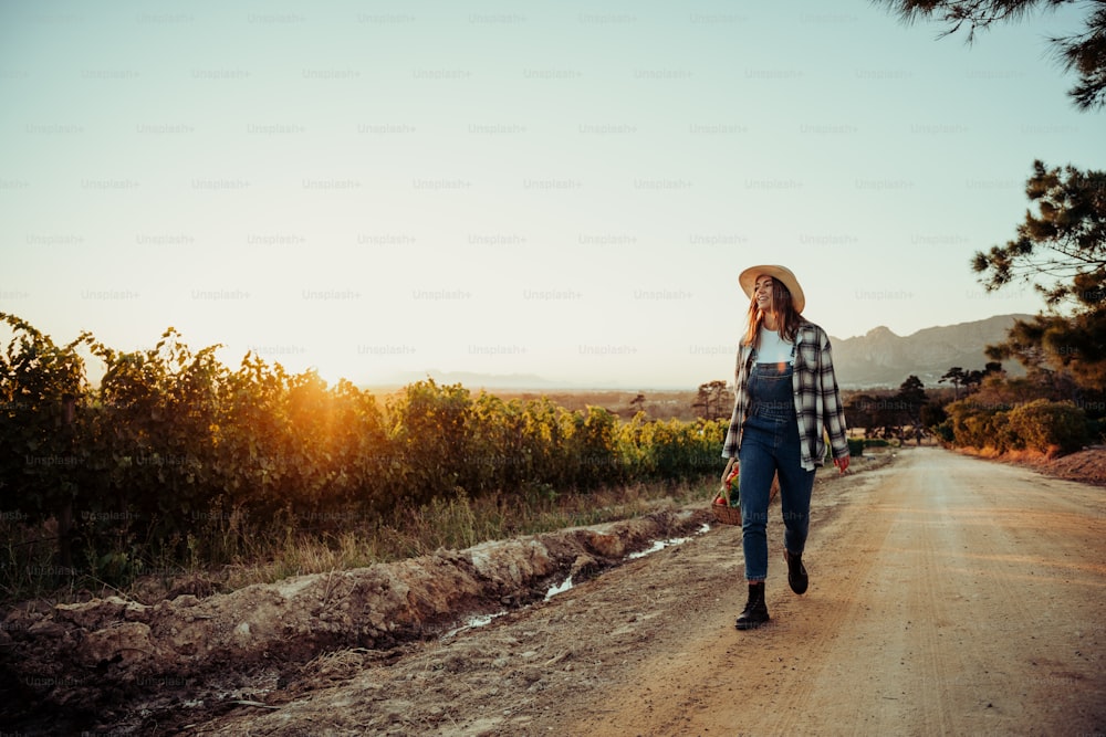 Agricultora caucasiana caminhando pelos vinhedos ao nascer do sol segurando uma cesta de legumes frescos que amam o trabalho. Foto de alta qualidade