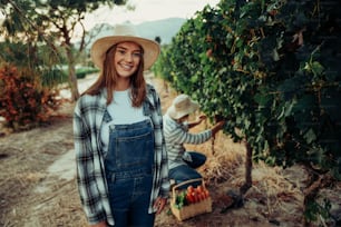 Caucasian female farmer working outdoors holding vegetable basket while male colleague examines grape vines. High quality photo