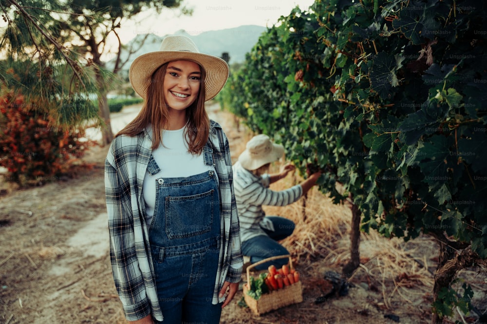 Agricultora caucásica que trabaja al aire libre sosteniendo una canasta de verduras mientras su colega examina las vides de uva. Foto de alta calidad