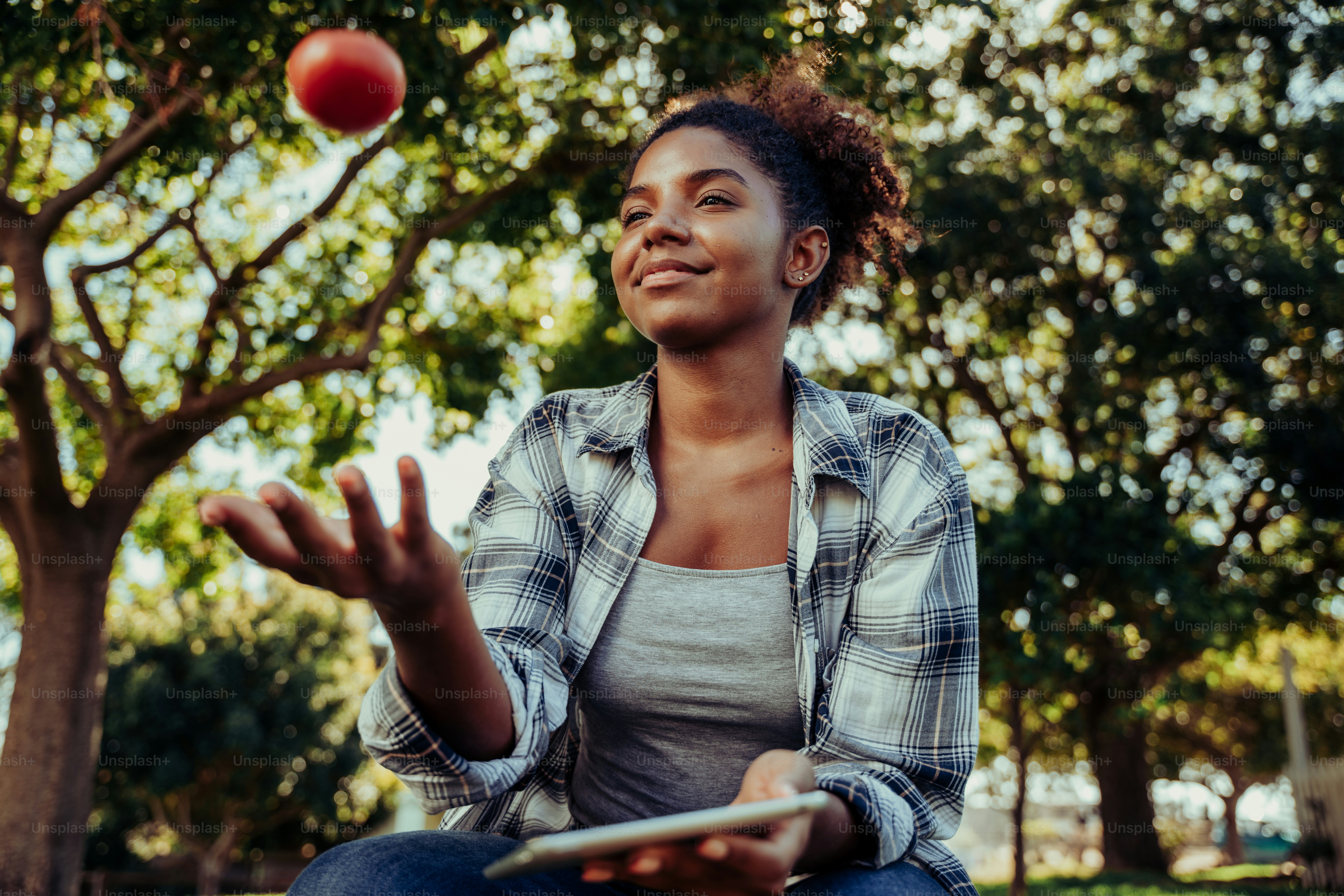 Mixed race female holding digital tablet researching project on healthy foods while playing with fresh red tomato crouching down under big green tree. High quality photo