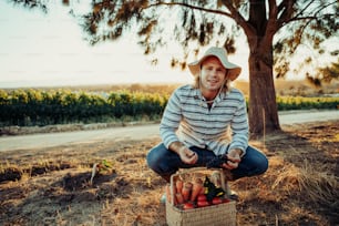 Kaukasischer blonder Bauer, der frisch gepflücktes Gemüse im Garten begutachtet und sich bei Sonnenaufgang in Weinberge kauert. Hochwertiges Foto