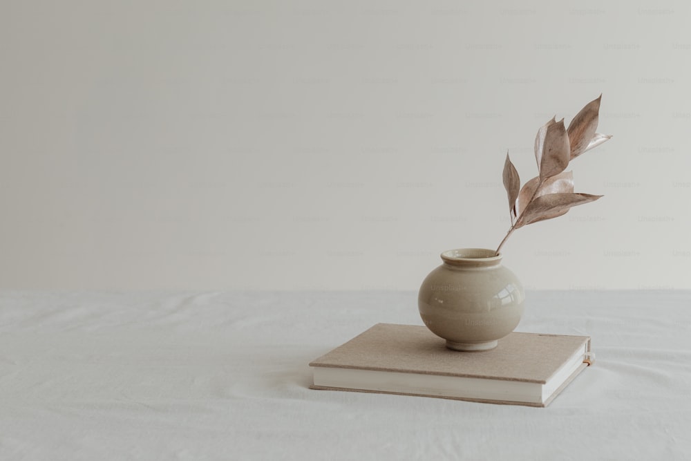 ein Buch und eine Vase auf einem Tisch