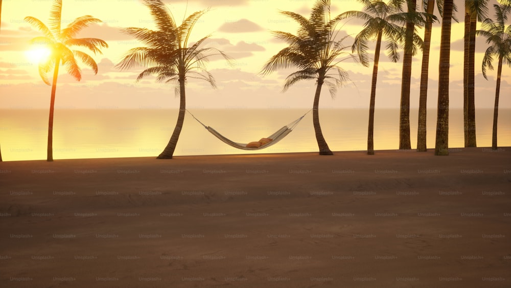 a hammock between two palm trees on a beach
