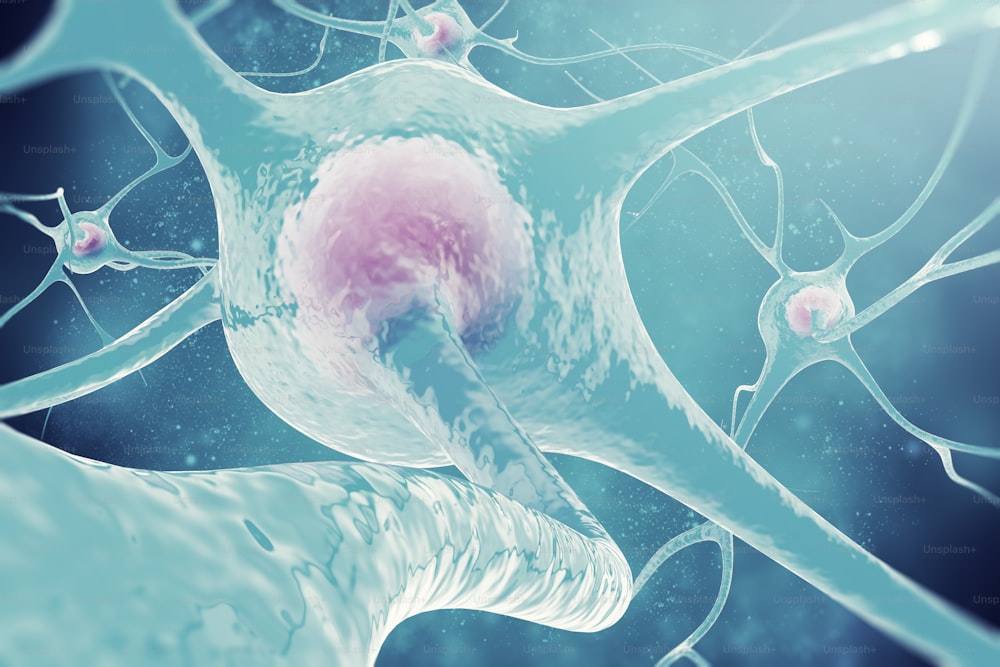 Neuronas del sistema nervioso 3d ilustración de células nerviosas