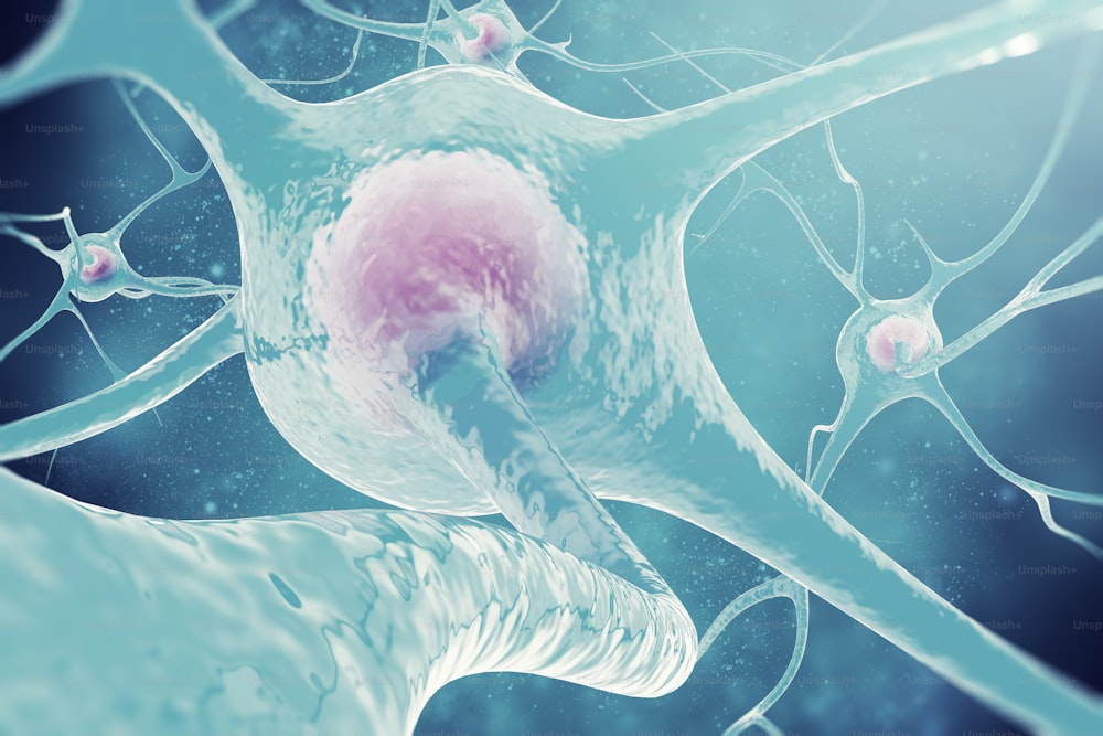 Neurones du système nerveux Illustration 3D des cellules nerveuses
