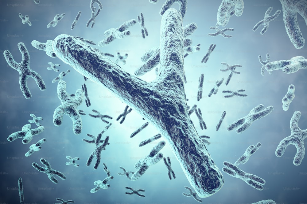 Y-Chromosom im Vordergrund, ein wissenschaftliches Konzept. 3D-Illustration