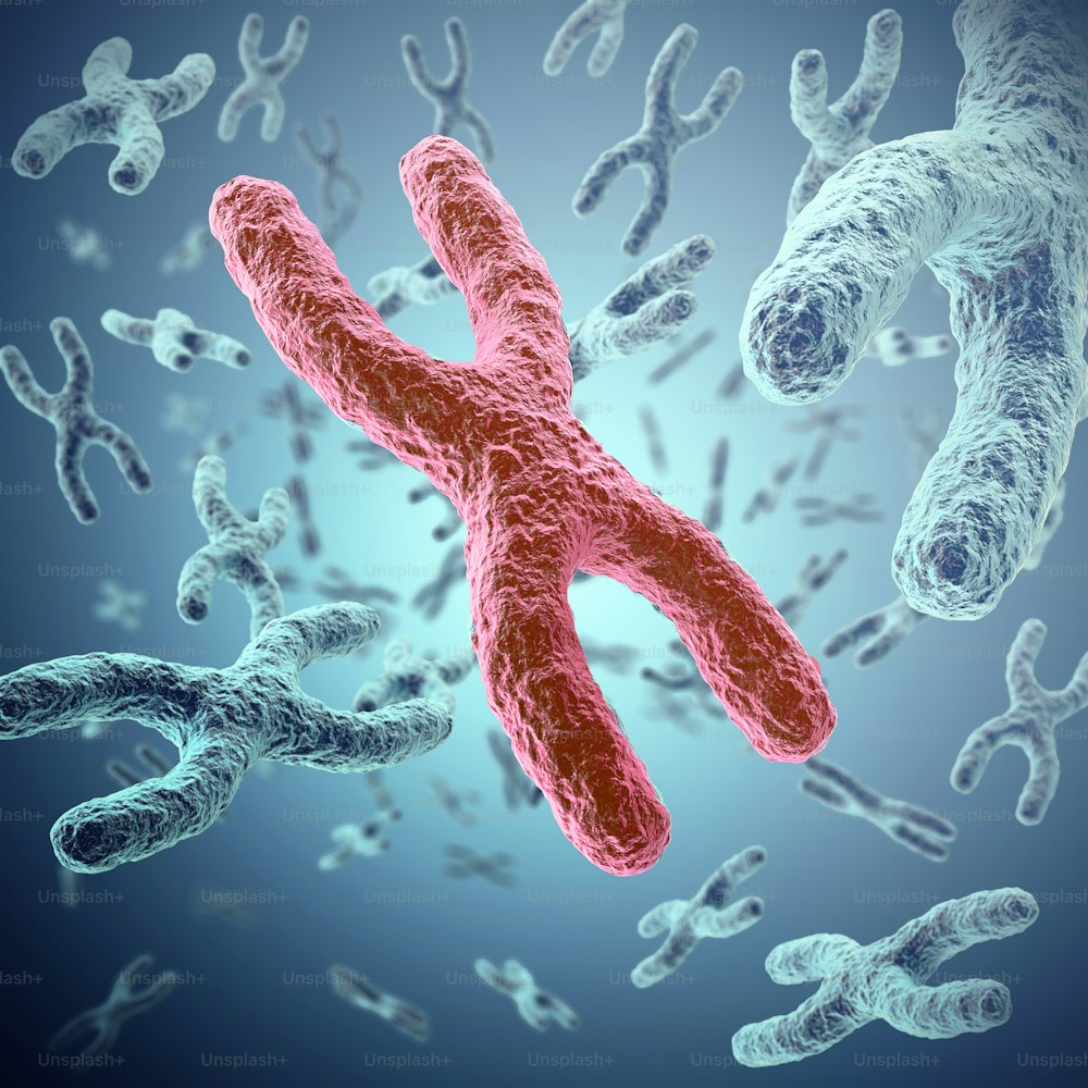 X chromosome, red in the center, the concept of infection, mutation, disease, with focus effect. 3d illustration