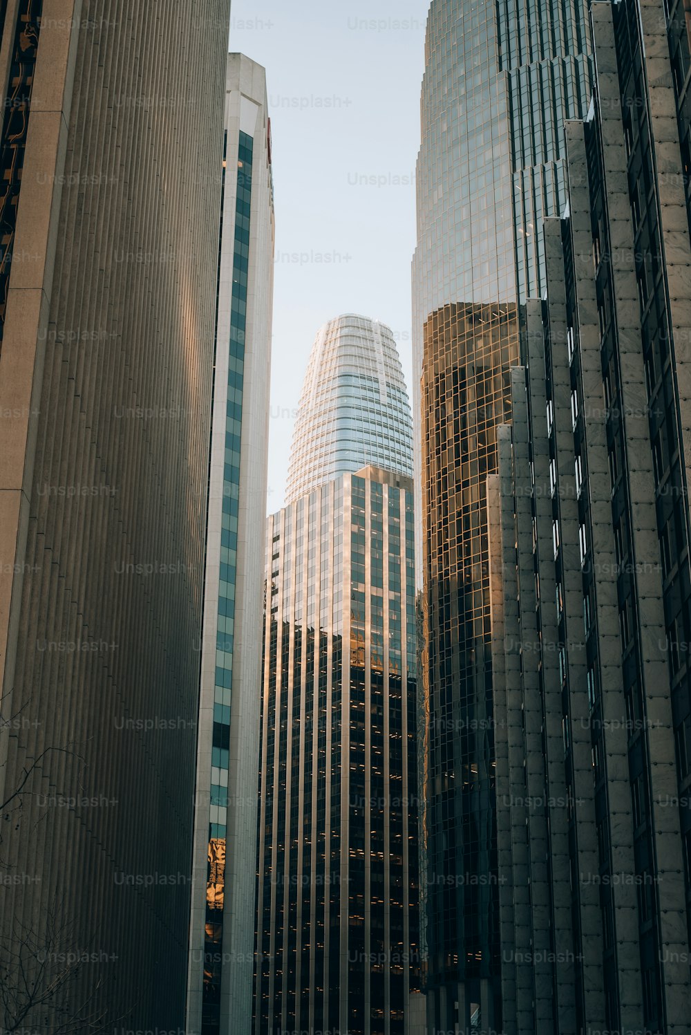 Un grupo de edificios altos en una ciudad
