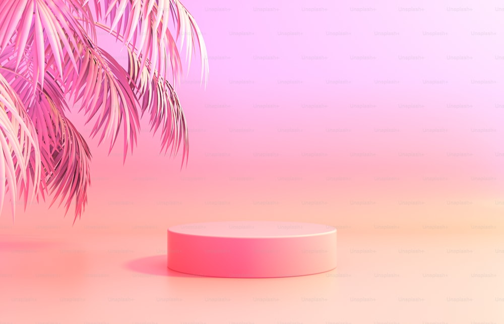 Foto Ilustração de luz rosa e branca – Imagem de Rosa grátis no Unsplash