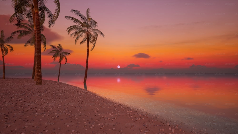 Una playa con palmeras y una puesta de sol al fondo