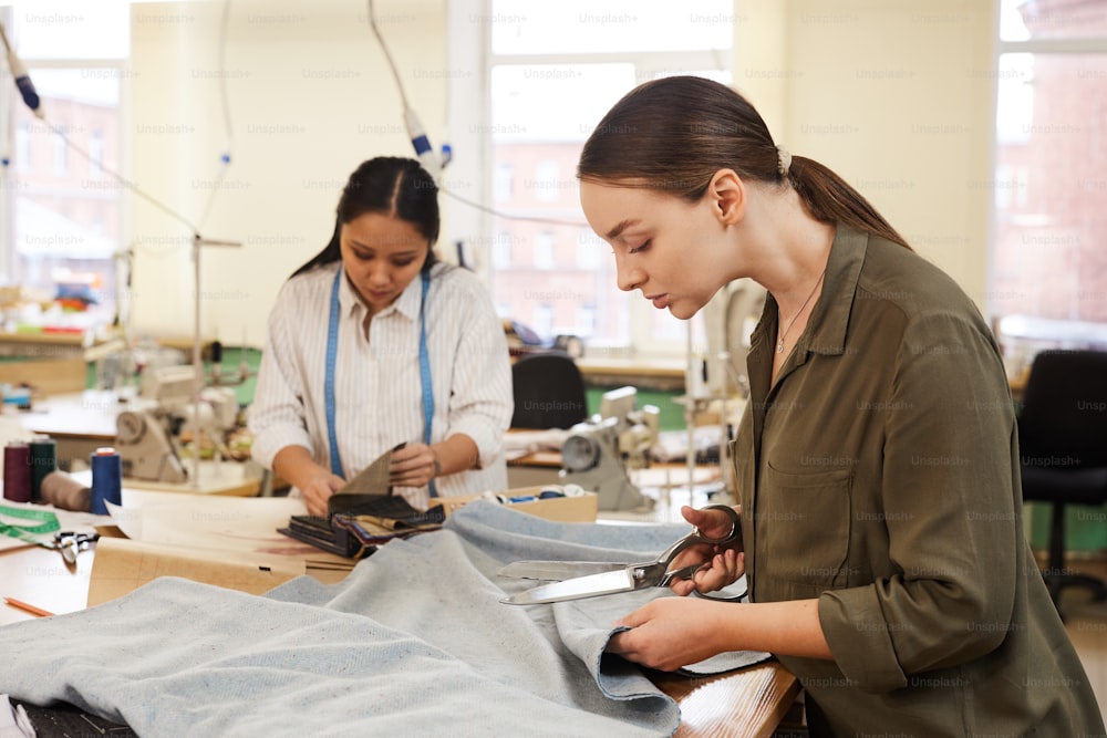 Zwei ernsthafte Schneiderinnen, die mit ihrer Arbeit beschäftigt sind, arbeiten mit Stoffen und nähen in der Werkstatt