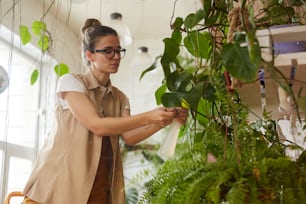 Young woman in eyeglasses growing decorative plants and caring about them in the garden