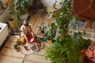 High angle view of young florist sitting on the floor and planting flower in the pot in the flower garden