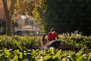 Two friends studying in the park. University students, studies, exams. Young people and couples. University campus