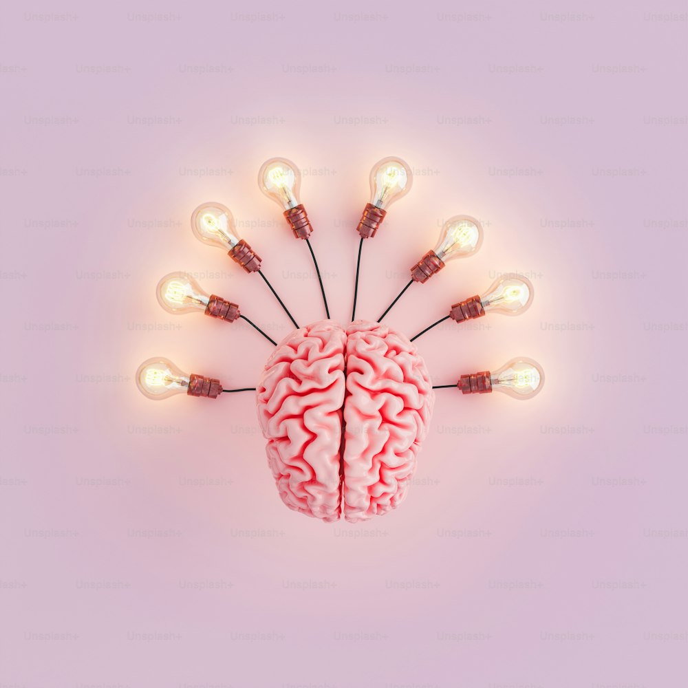 Vista superior de un cerebro con varias bombillas conectadas e iluminadas. Concepto de educación, idea y aprendizaje. Renderizado 3D