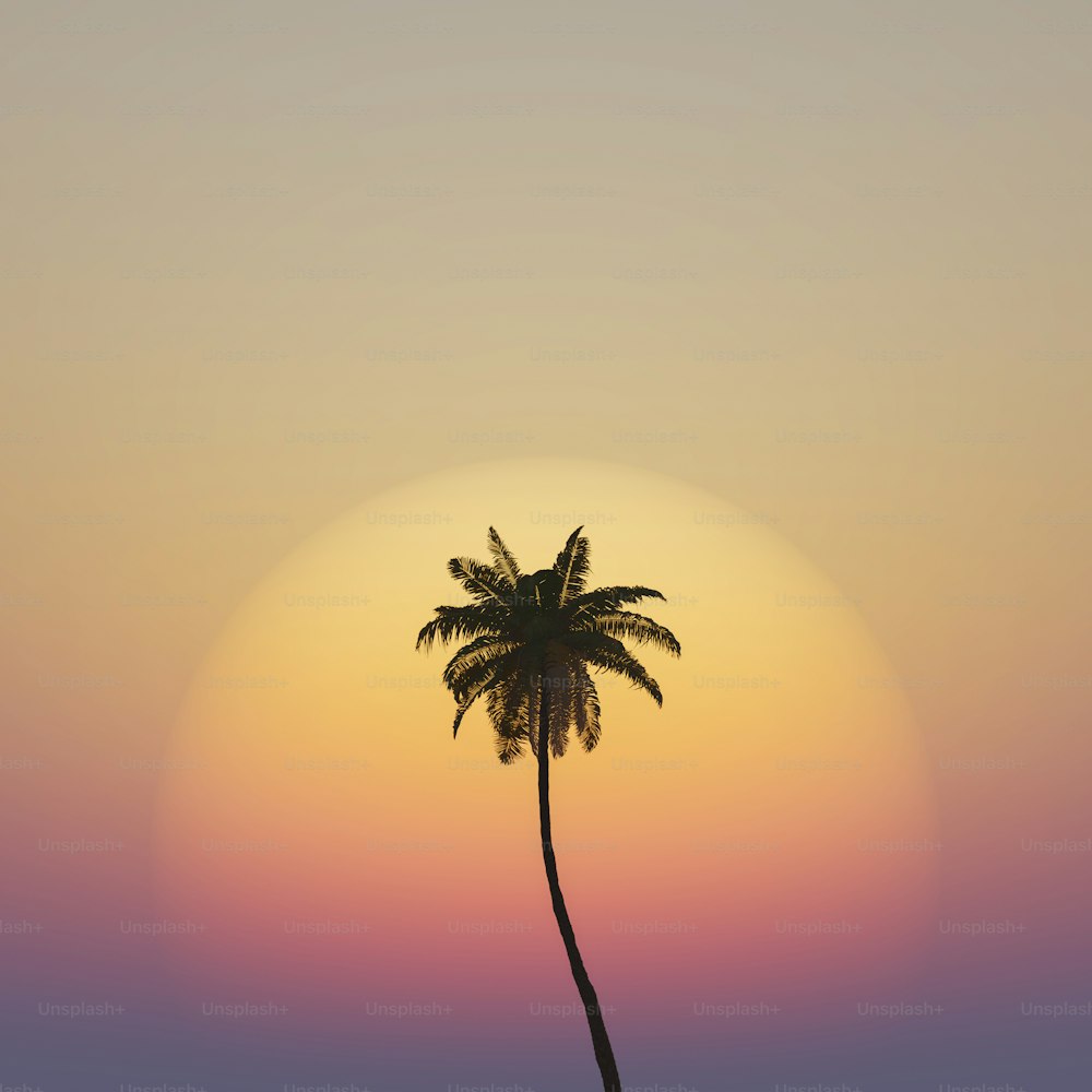 Tropischer Hintergrund einer isolierten Palme mit warmem Sonnenuntergang dahinter. 3D-Rendering