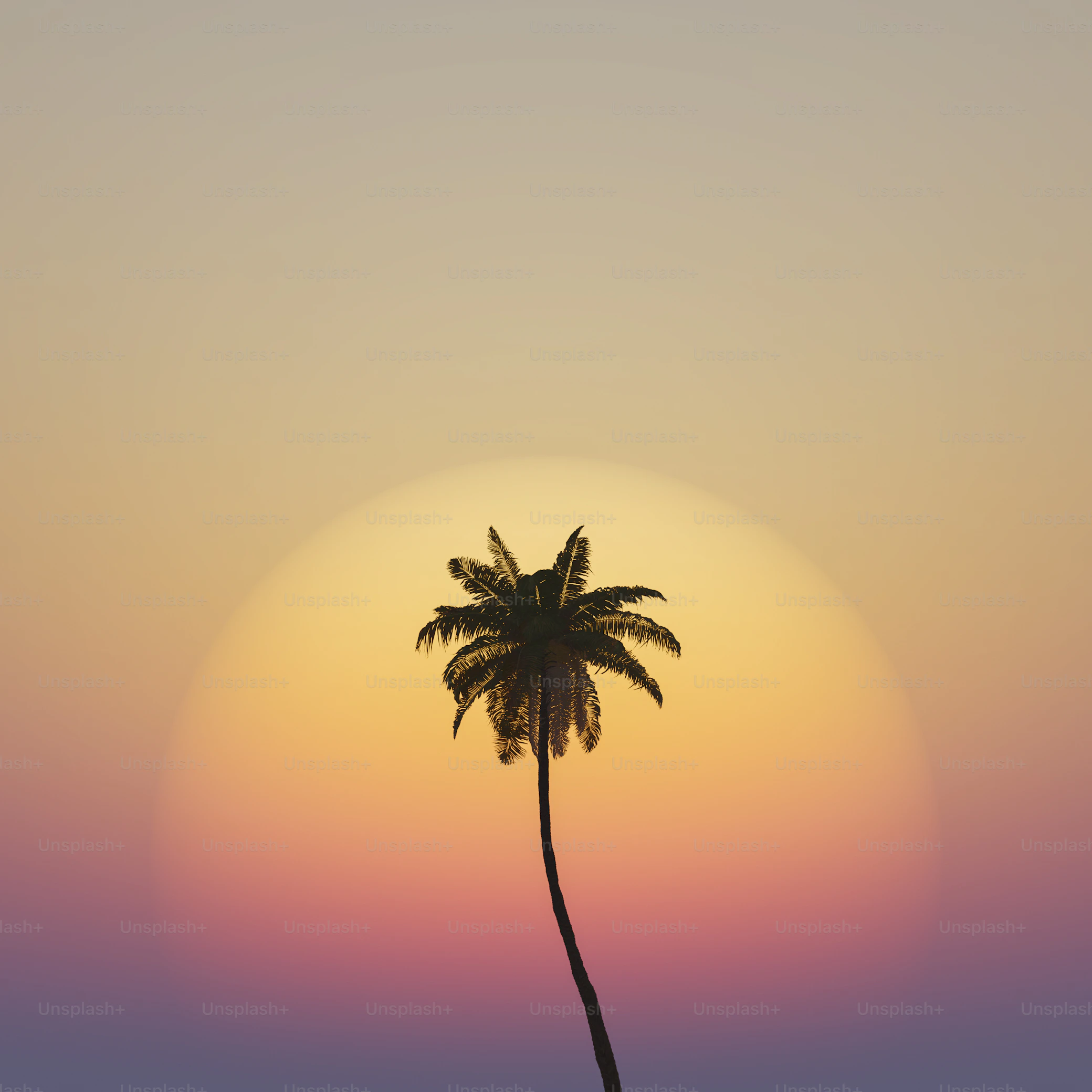 Hawaii