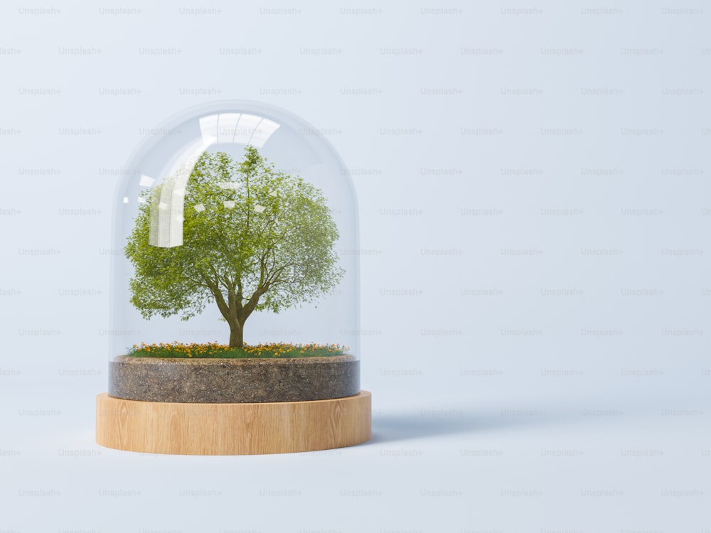 3D-gerenderte Illustration eines Baumes, der unter der Kuppel auf blauem Hintergrund wächst, für das Konzept des Umwelt- und Naturschutzes.