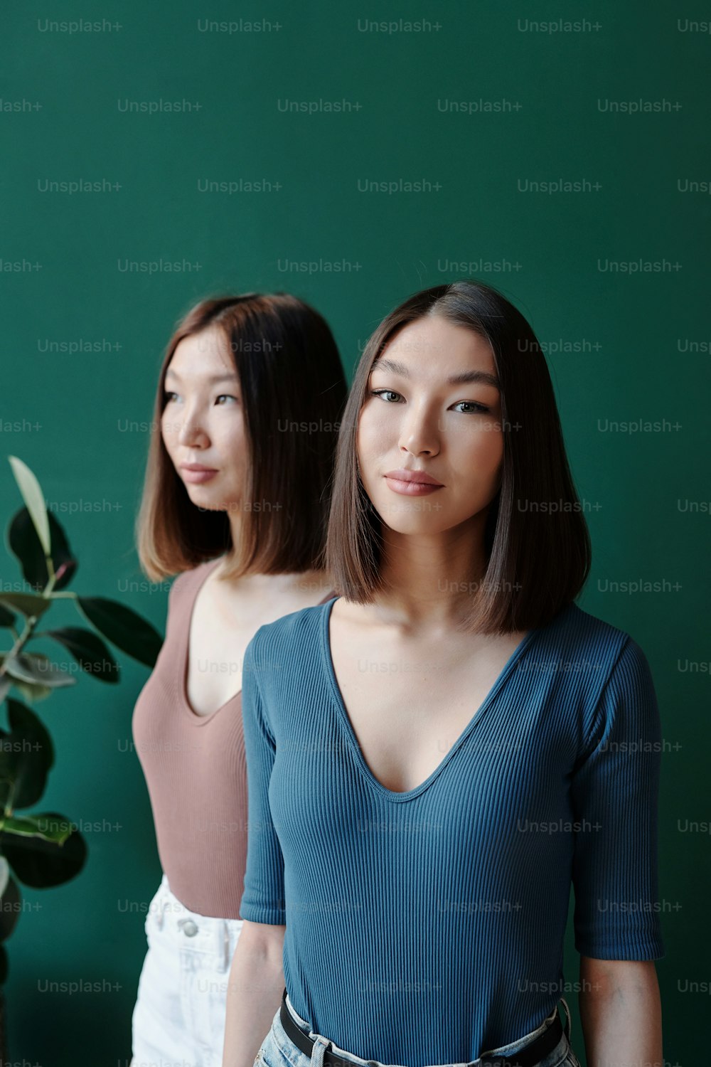 Cute brunette girl of Asian ethnicity with natural makeup looking at you while standing in front of her twin sister in casualwear in studio