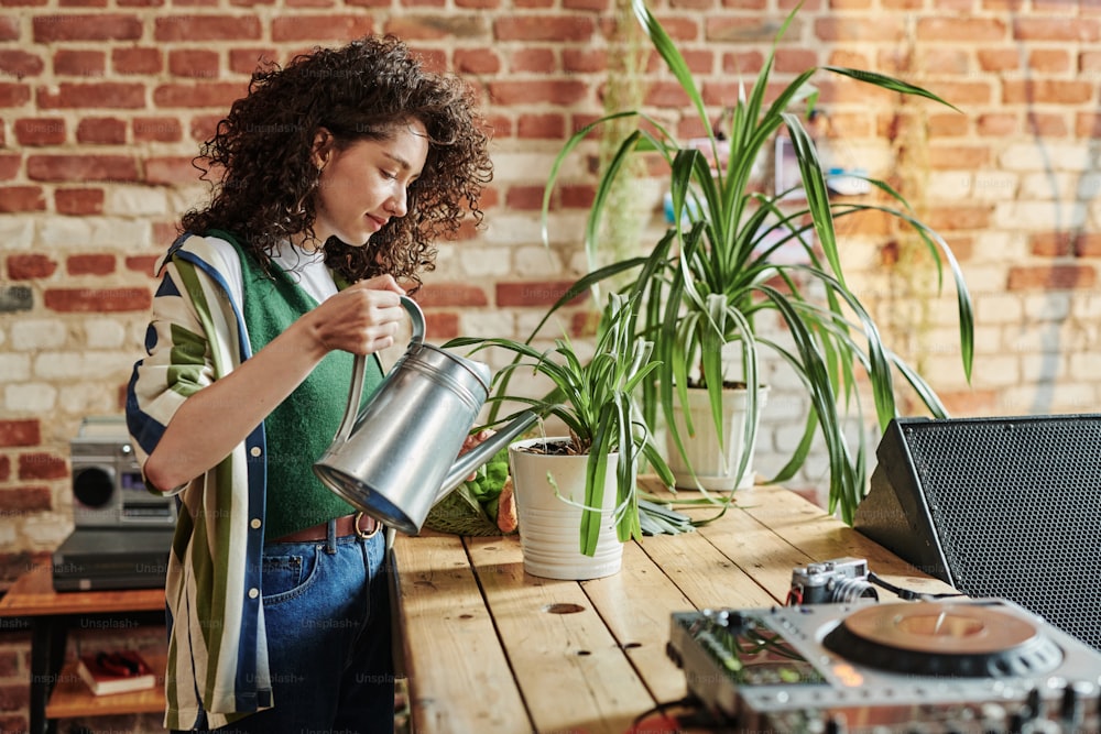 Young woman in stylish casualwear watering green domestic plants in flowerpots while standing by wooden table in loft apartment