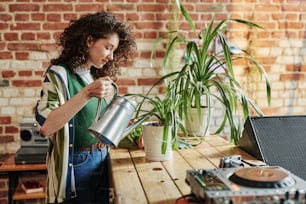 Young woman in stylish casualwear watering green domestic plants in flowerpots while standing by wooden table in loft apartment