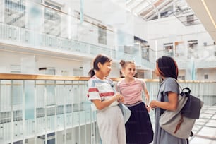 Portrait of three schoolgirls chatting in school while standing in sunlight under glass ceiling, copy space
