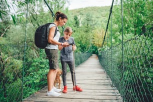 Mother and daughter standing on wooden suspension bridge with small yellow dog in the forest and using smart phone to navigate