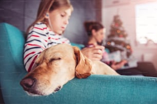 Pequeño perro amarillo acostado en un sofá azul con madre e hija en casa